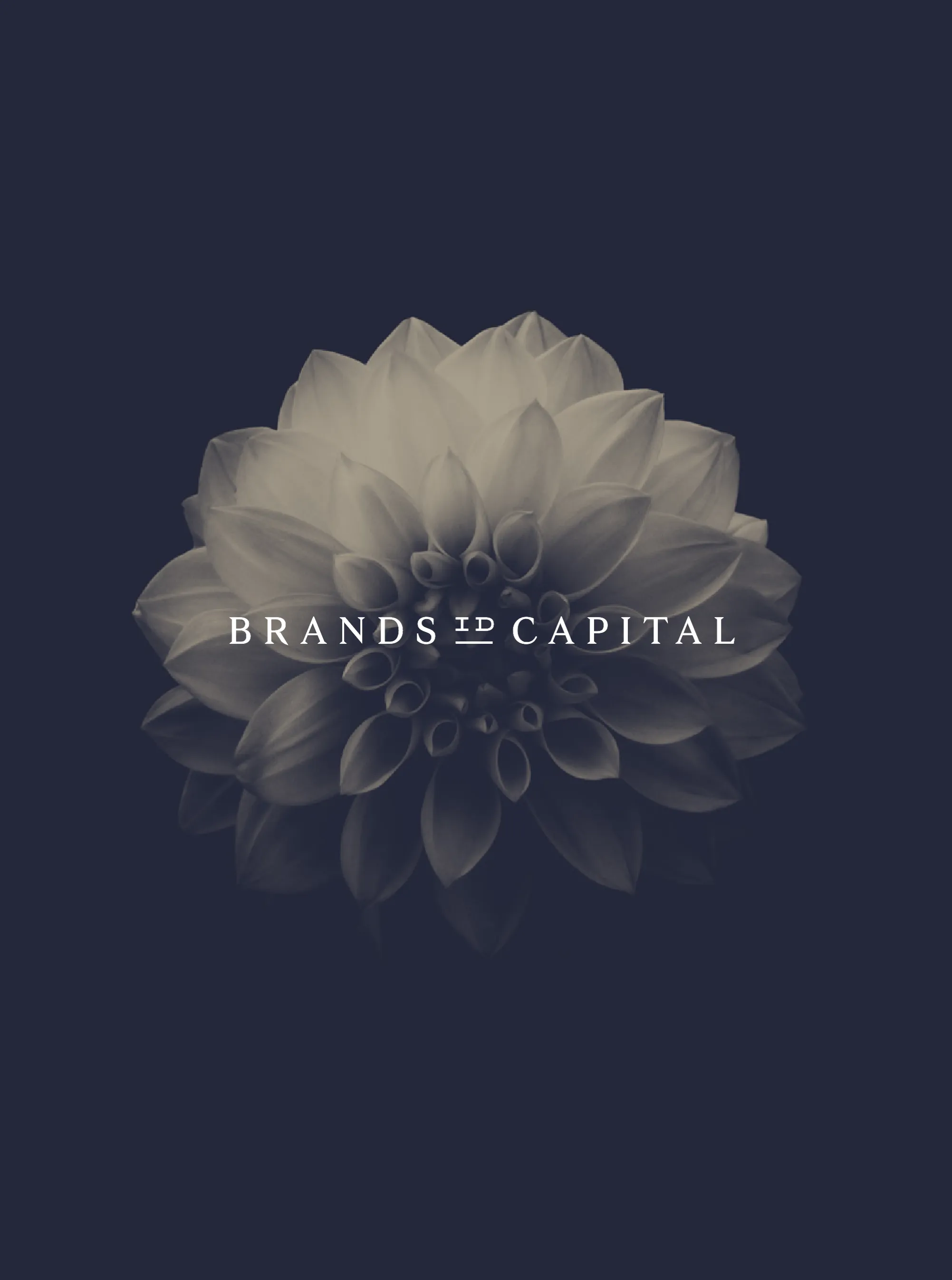 07 real estate branding logo