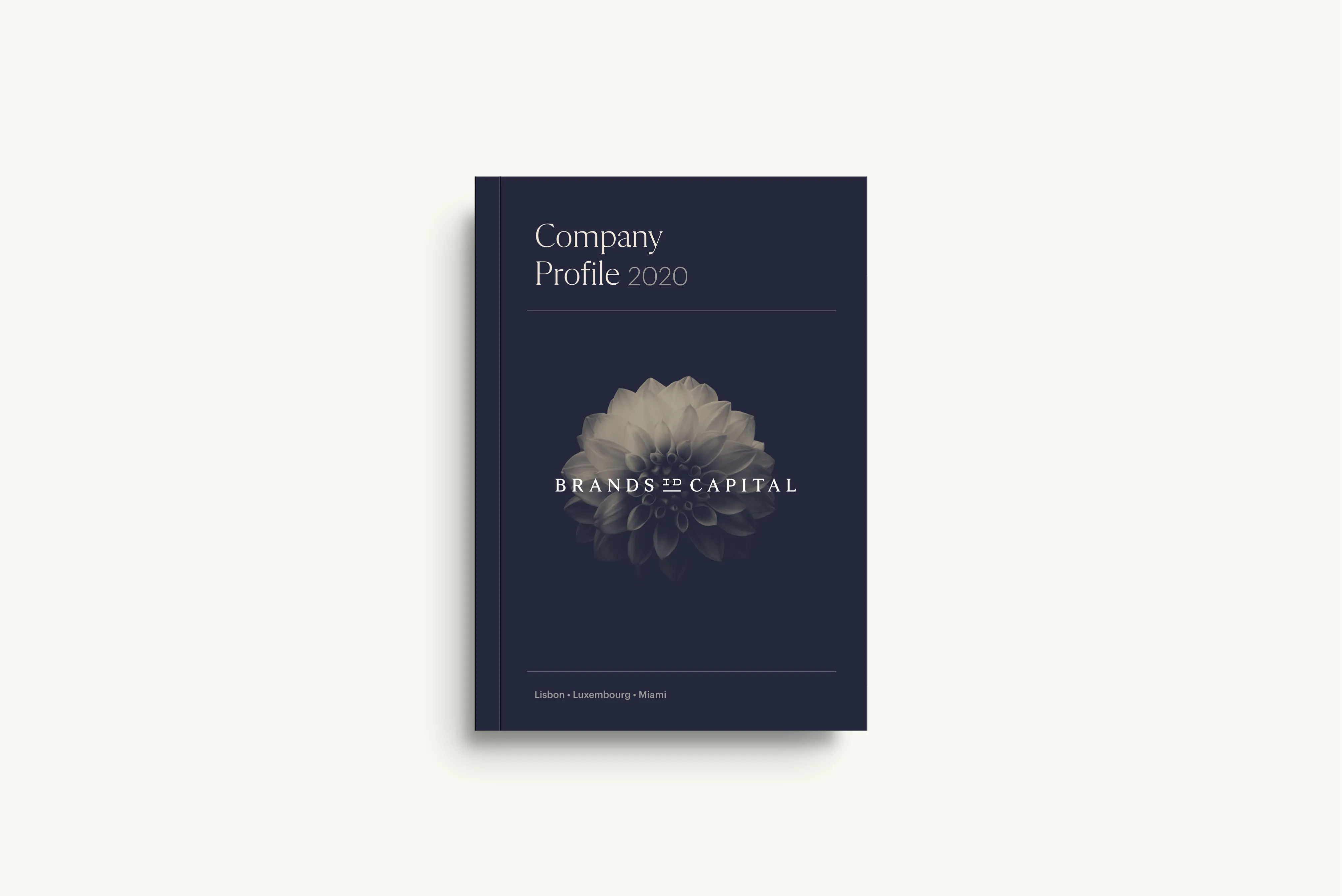 10 real estate branding business company profile book