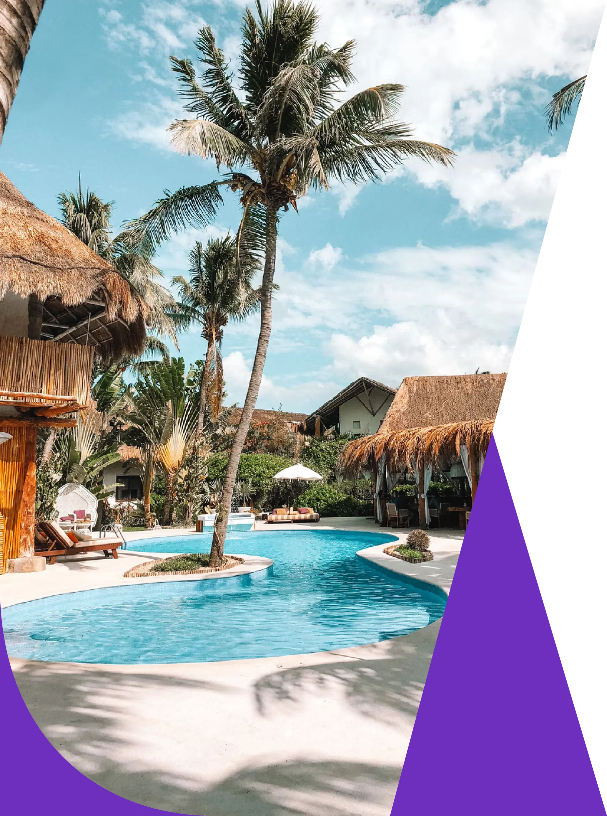 06 b2b fintech branding palm trees